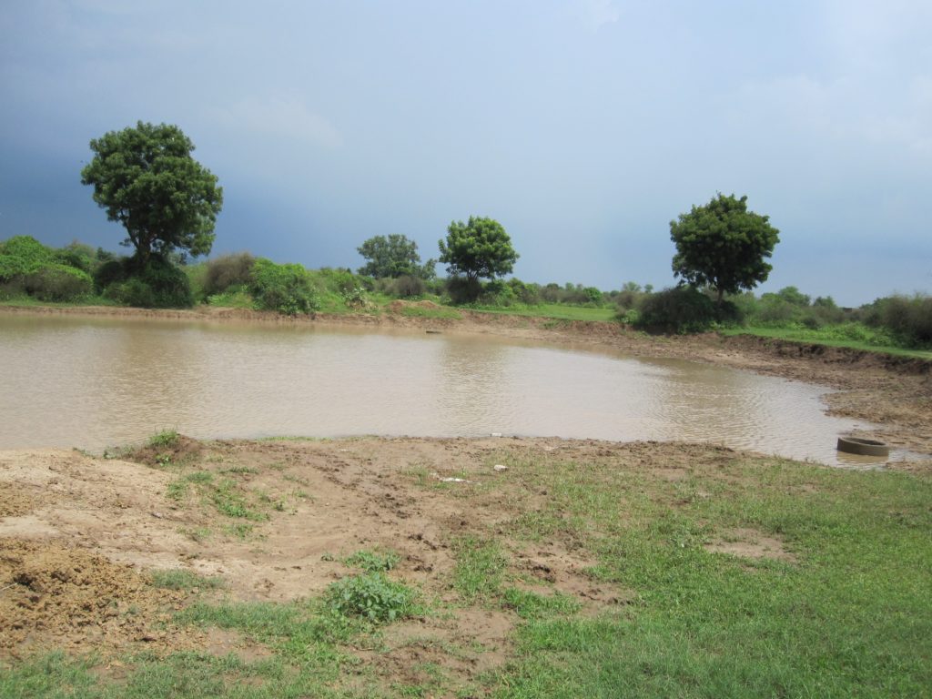 View of water filled during monsoon in the same low-lying land