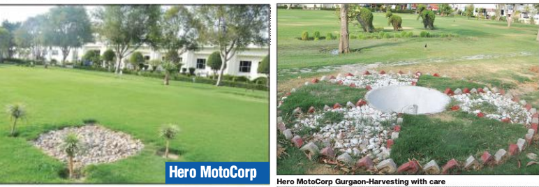 The dry grass and trees are fire hazards - the green grass and trees are the savior.